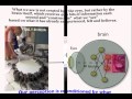 Science of Emotions 1