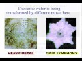 Science of Emotions 2
