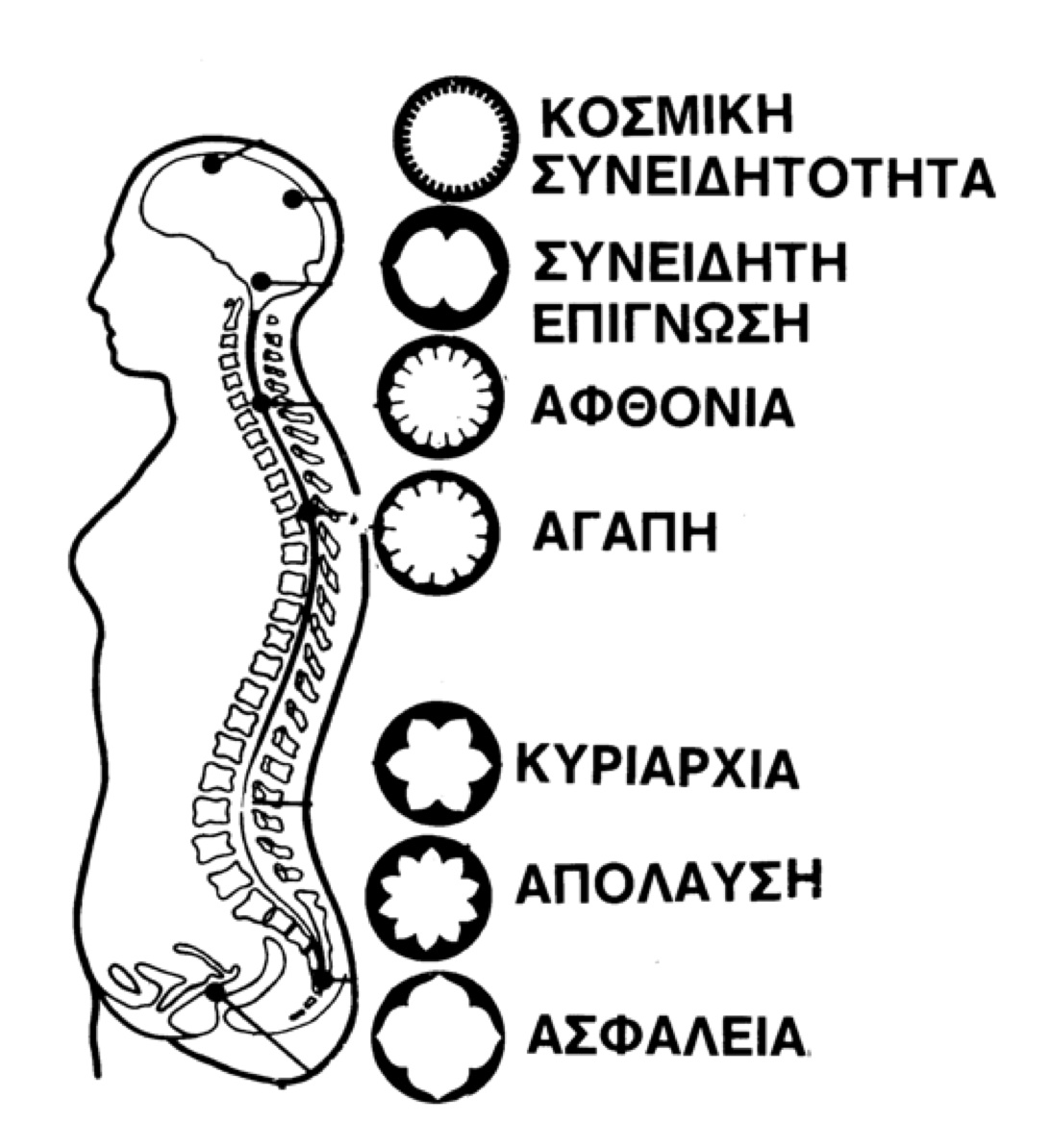 ΤΑ 12 ΜΟΝΟΠΑΤΙΑ ΠΡΟΣ ΤΗΝ ΑΝΩΤΕΡΗ ΣΥΝΕΙΔΗΤΟΤΗΤΑ – ΑΡΘΡΟ